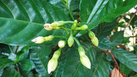 《宝可梦：大集结》9月22日登陆手机平台