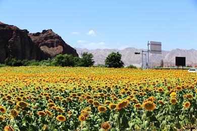 科幻RPG《Exodus》实机视频展示战斗＆角色＆机制