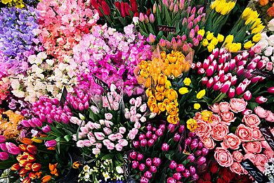 治愈系平台解谜游戏《擦身而过 顺风之旅》现已正式推出